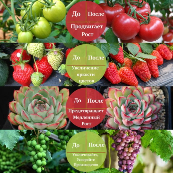 Фитолента светодиодная "Полный спектр" 5В с USB, 3 метра